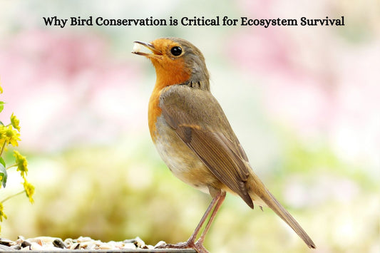 Why Bird Conservation is Critical for Ecosystem Survival