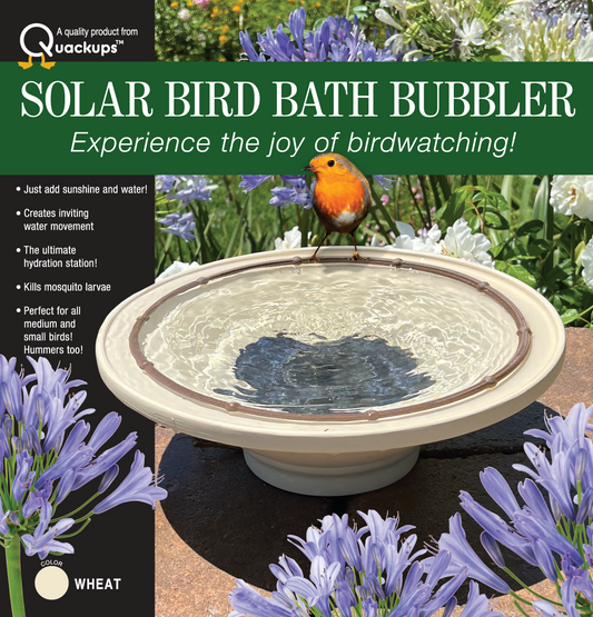 Quackups solar bird bath bubbler